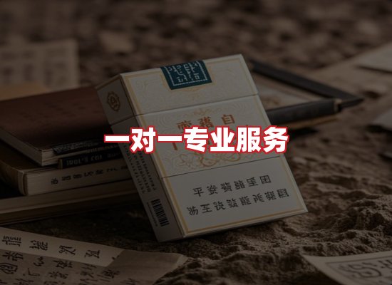 专业团队
